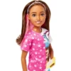 Barbie Skipper Doll And Dog Walker Set With Puppy And Accessories First Jobs -Wild Republic Store GUEST 23067206 ca95 4fd7 b53b 9422ba1c6643