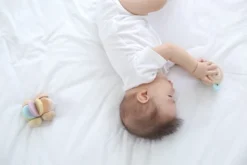 Plantoys| Peek-A-Boo Roller -Wild Republic Store GUEST 4308083e bc14 480e b28d 6a0a03145c48