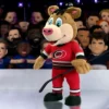 Bleacher Creatures Carolina Hurricanes Stormy Mascot 10" Plush Figure (Red Uniform) -Wild Republic Store GUEST 619a8b66 0e14 4df9 ad04 3d7eacb10a96