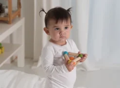 Plantoys| Triangle Clutching Toy -Wild Republic Store GUEST b3e05e80 1191 4533 88bb cf96e558200e