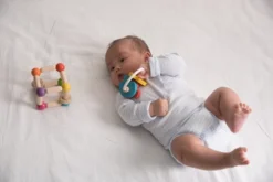 Plantoys| Triangle Clutching Toy -Wild Republic Store GUEST bc578a16 1716 4a82 8c5b dc91fbb74bc5