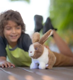 HearthSong - Happy Hopping Velvety Soft Plush Bunny For Kids 10 HearthSong - Happy Hopping Velvety Soft Plush Bunny For Kids -Wild Republic Store GUEST cdf8e486 9cf0 40e6 8e11 ad764bf6dc68