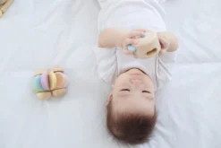 Plantoys| Peek-A-Boo Roller -Wild Republic Store GUEST ec510352 1c4d 452b 85ba 768b6894839c